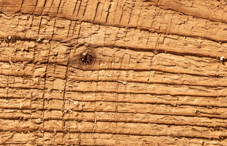 Circular saw kerf marks scored across the grain