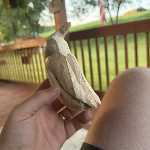 A bird part-carved from a single block, held in hand, still bare wood
