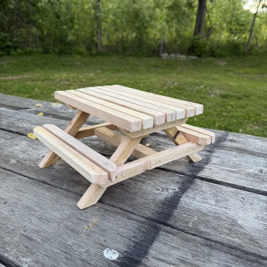 Picnic Table Feeder