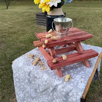 Miniature eastern red cedar picnic table squirrel feeder with peanuts on the top and a galvanized bucket