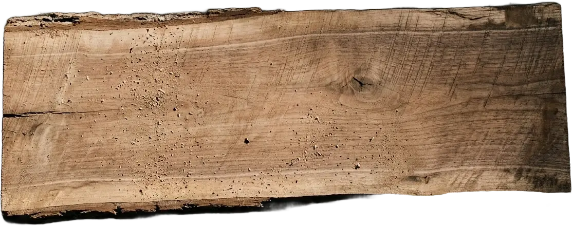 A raw live-edge board with bark edges, saw marks, a knot and scattered sawdust