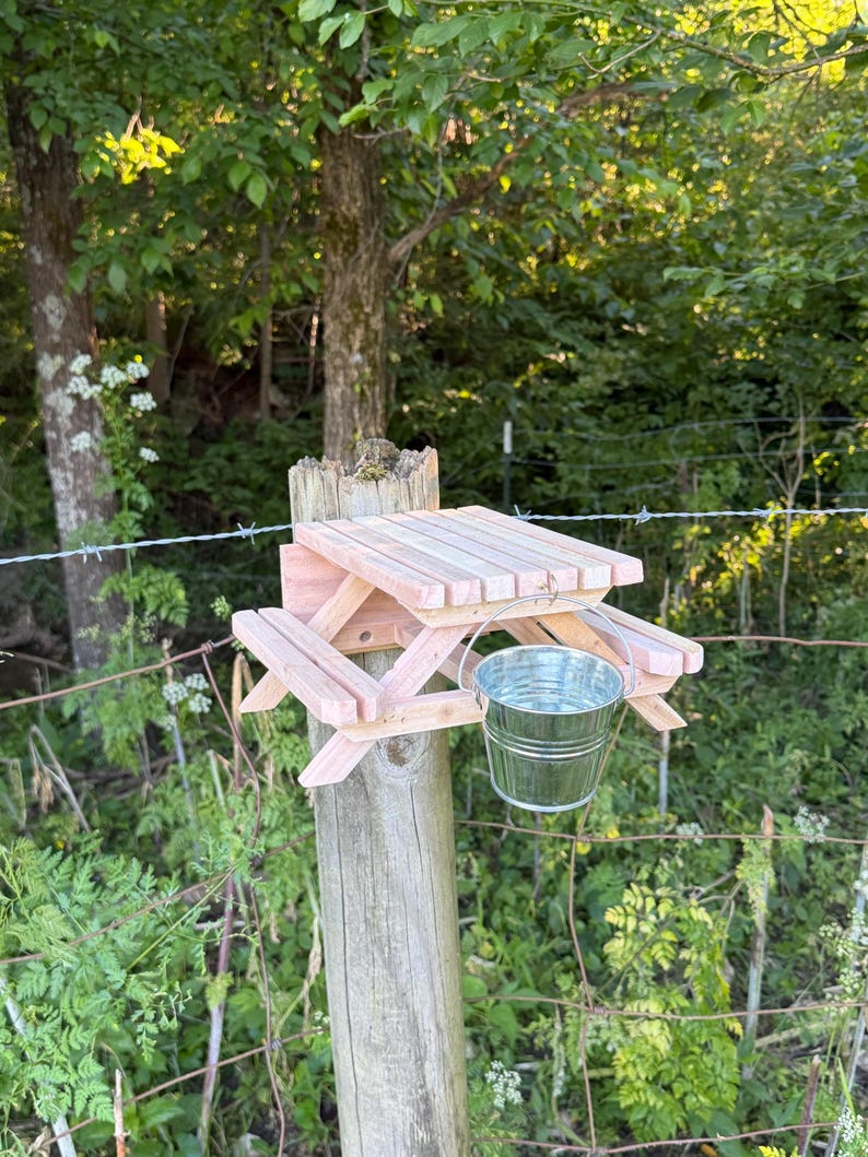 Handmade cedar mini picnic table feeder, built in the backyard shed